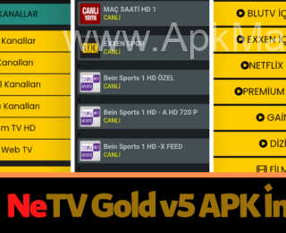 Netv Gold v6 APK İndir ( Son Sürüm)